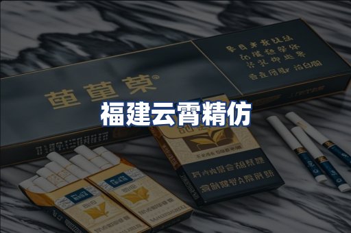 福建云霄精仿